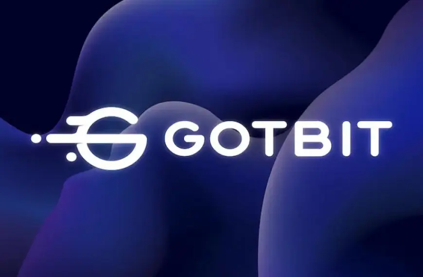 Засновник російського маркетмейкера Gotbit зміг уникнути в'язниці у США – Bits Media