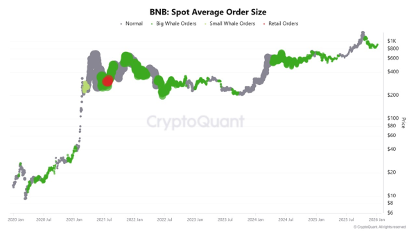 BNB Spot Average Order Size. Source: CryptoQuant