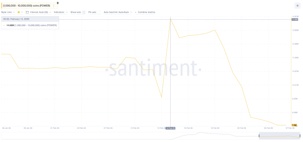 Дрібні кити виходять із позиції
