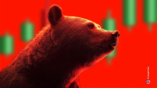 Kraken наблизився до виходу на біржу завдяки покупці менеджера токенів