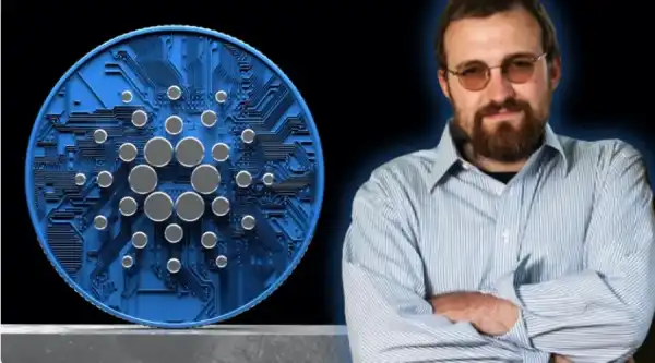 Чарльз Хоскінсон назвав суму особистих збитків у криптовалюті – Bits Media