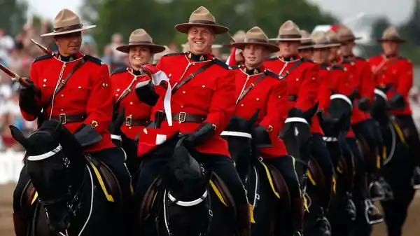 Криптомошенні стали видавати себе за кінну поліцію – Bits Media