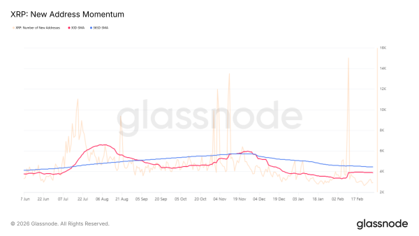 Динаміка нових адрес <span class=