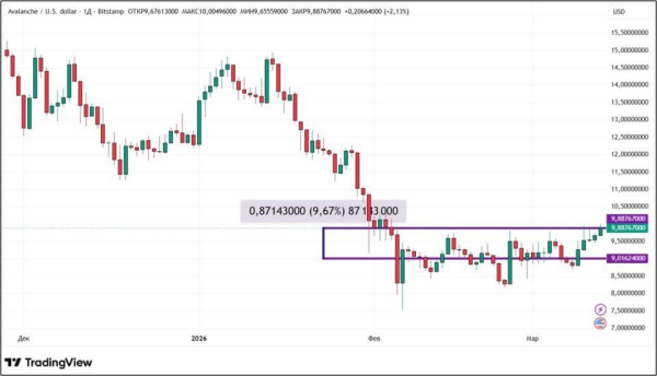 1303202608.jpg 1303202608.jpg