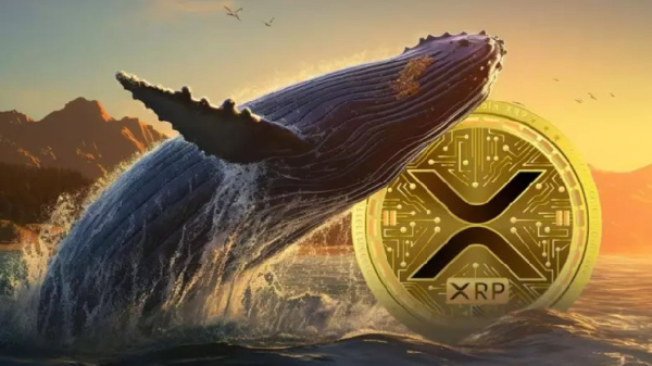 Evernorth прогнозує шок пропозиції XRP: 7 мільярдів токенів залишають біржі