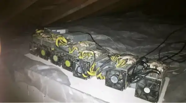 Заступник начальника «Бутирки» покарали за майнінг у психіатричній лікарні – Bits Media