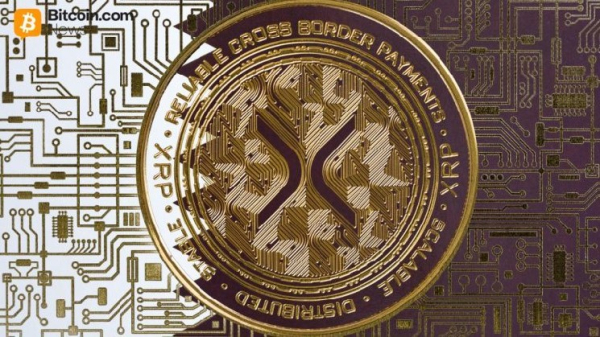 Активність у мережі XRP різко зросла на тлі тестування ціною позначки 1,55 долара, а кількість великих гаманців досягла рекордного рівня