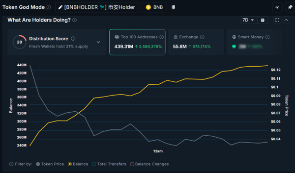 Метрики BNBHOLDER