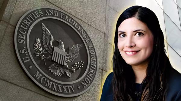 Бывший юрист из отдела правоприменения SEC США встала на защиту криптокомпаний — Bits Media